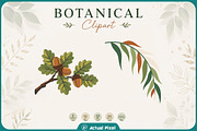 Boho Botanical Leaves Clipart Bundle, a Nature Photo by Actual Pixel (Thumbnail 11 of 21)