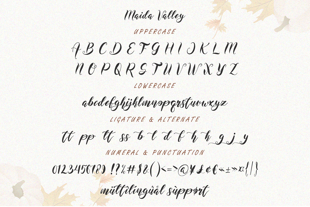 Maida Valley - Handwritten Font, a Script Font by erlosDESIGN (Photo 13 of 14)
