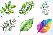 Watercolor Greenery Leaves Clipart, an Illustration by Canvas Craft (Thumbnail 2 of 3)