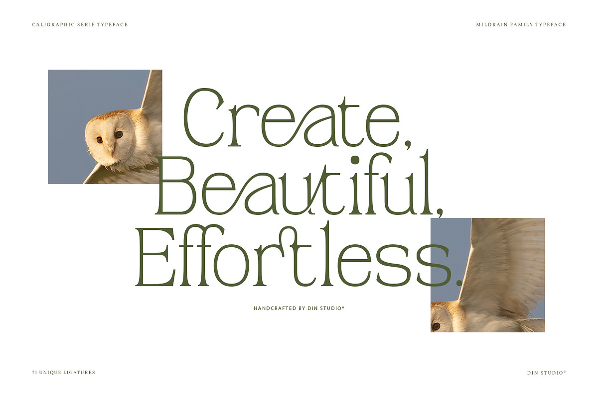 Mildrain, a Serif Font by din-studio.com (Photo 9 of 10)