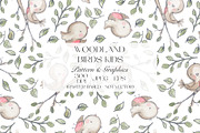 Woodland Birds Pattern, a Pattern Graphic by StudioGlouna (Thumbnail 1 of 4)