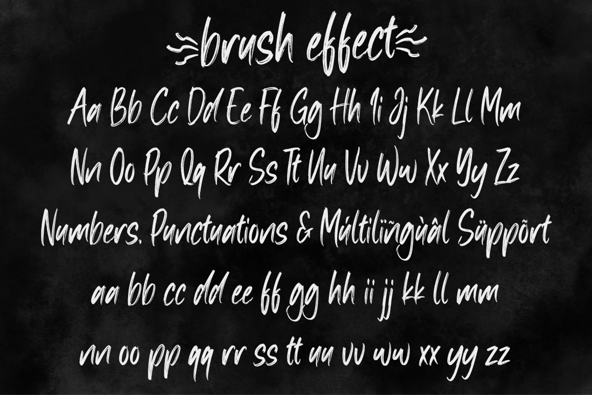 brush effect, a Script Font by N (Photo 9 of 10)