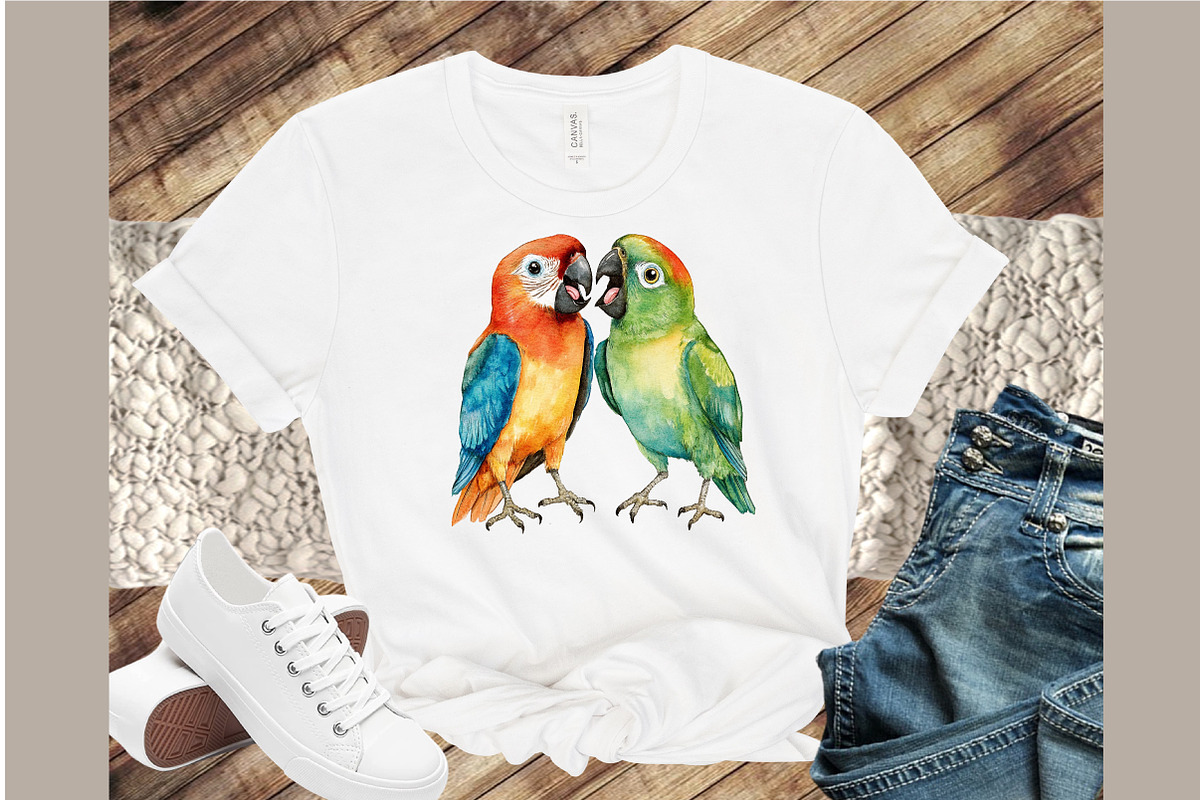 Funny Colorful Birds Watercolor Clip, an Illustration by Sublimation Artist (Photo 4 of 6)