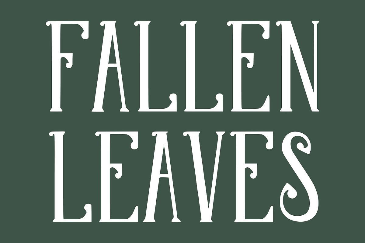 Molvicc Decorative Display Typeface, a Serif Font by Maulana Creative (Photo 3 of 7)