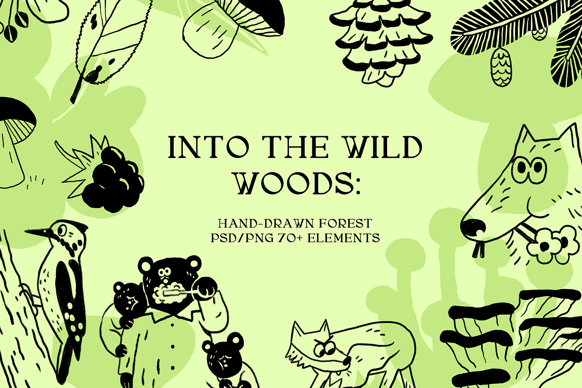 Ink Forest: Botanicals & Characters, an Animal Illustration by Schumacher Shop (Photo 1 of 19)