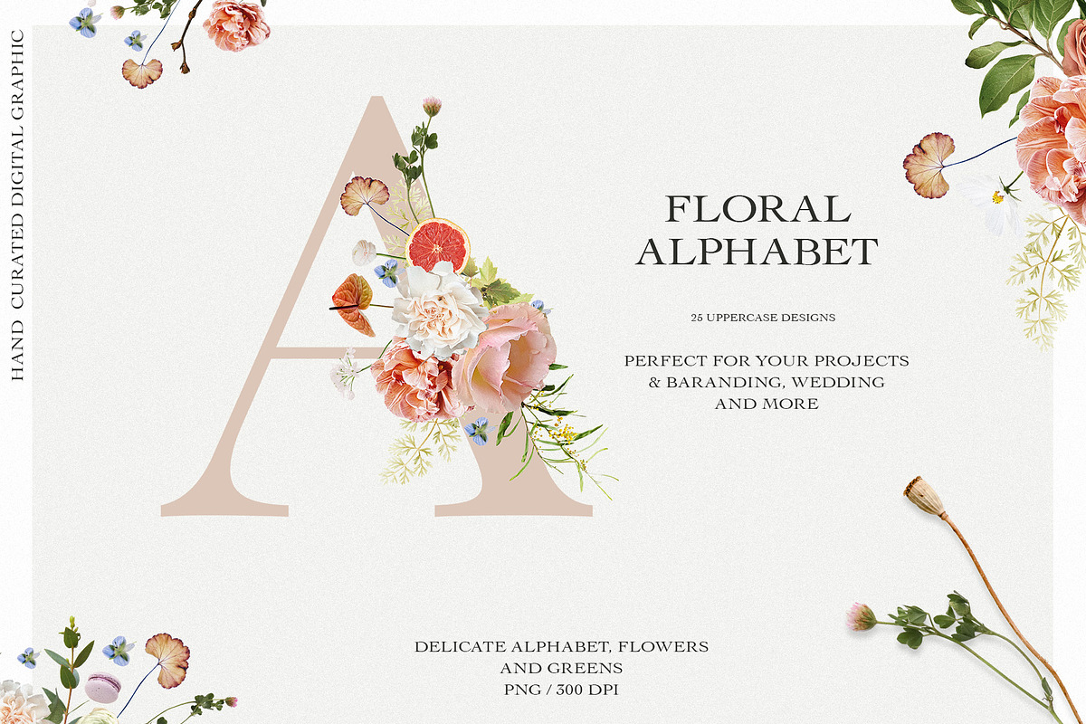 Candy Rustic Floral Clipart Set, an Object Illustration by anastasiia.art (Photo 7 of 10)