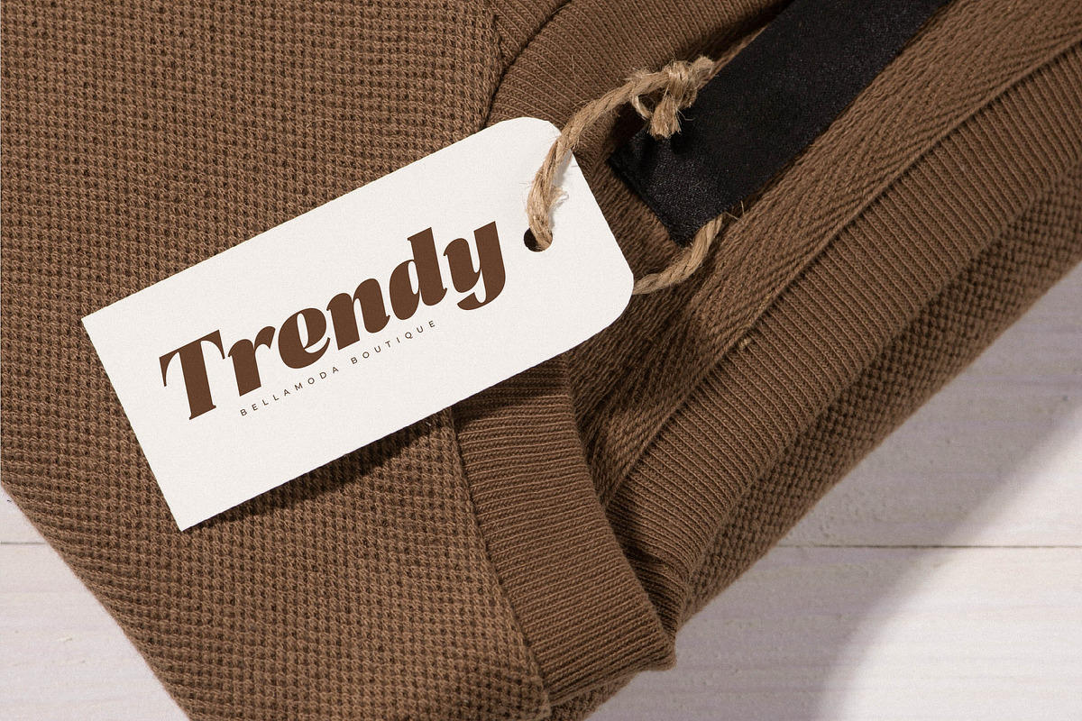 Misflen Radio Modern Bold Serif, a Serif Font by Letterena Studios (Photo 8 of 15)
