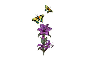 Lily Flower Graphic With A Butterfly