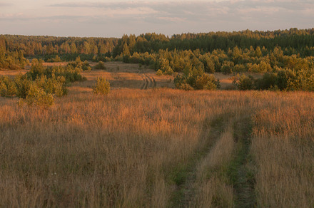 Autumn Field Stock Photo Containing Steppe And Field preview 6