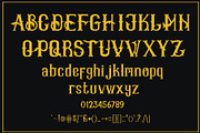 Waltair, a Serif Font by LetterStock (Thumbnail 4 of 5)