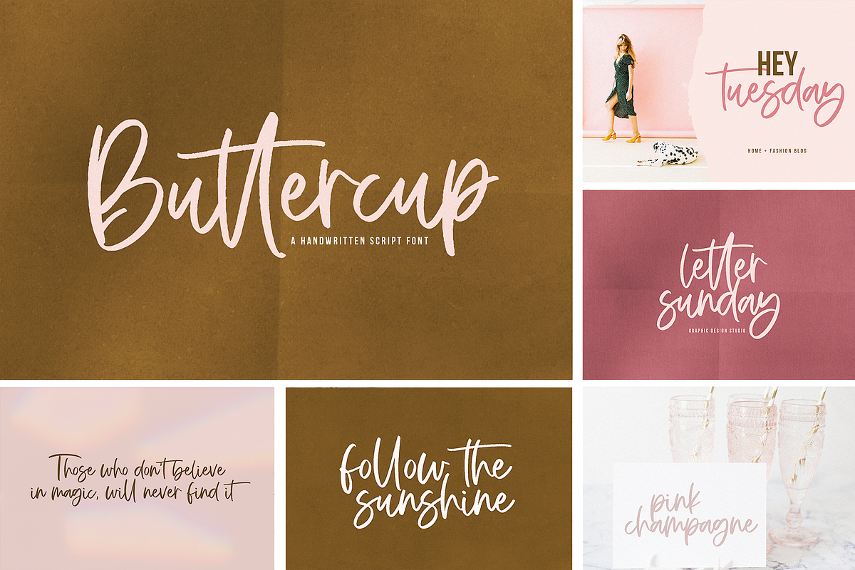 The Trendy Font BUNDLE preview 3