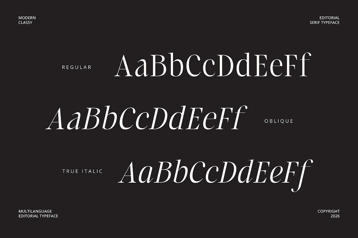 Laught Alize, a Serif Font by Godbless Studio (Photo 8 of 10)