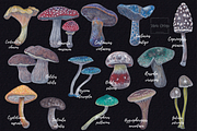 Watercolor and Gouache Mushrooms, an Illustration by MariaOrtegaDigitals (Thumbnail 3 of 6)