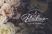 Birmingham - Signature Script, a Script Font by Letterhend Studio (Thumbnail 3 of 10)