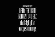 Vanrow, a Serif Font by lelevien (Thumbnail 3 of 5)