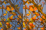 10 Autumn Leaves Lightroom Presets, a Preset Add-On by RamsaGraphi (Thumbnail 9 of 10)