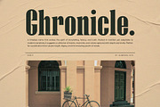 Negire, a Serif Font by Almeera Std (Thumbnail 4 of 6)