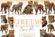 Cheetah Clipart, Wild Cat, Cheetah, an Animal Illustration by BrushstrokeArtGB (Thumbnail 1 of 9)