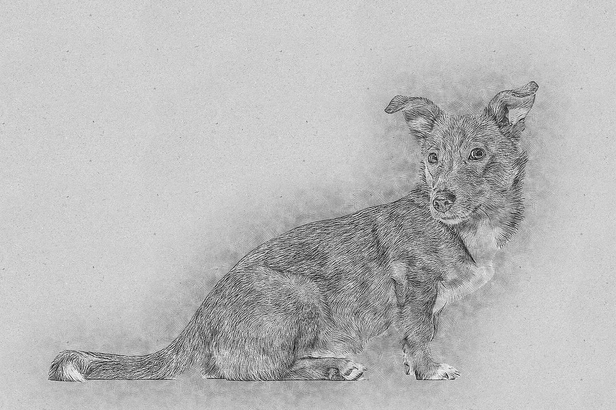 Fine Art Sketch Drawing Action, an Action Add-On by Photoshop Action (Photo 9 of 10)