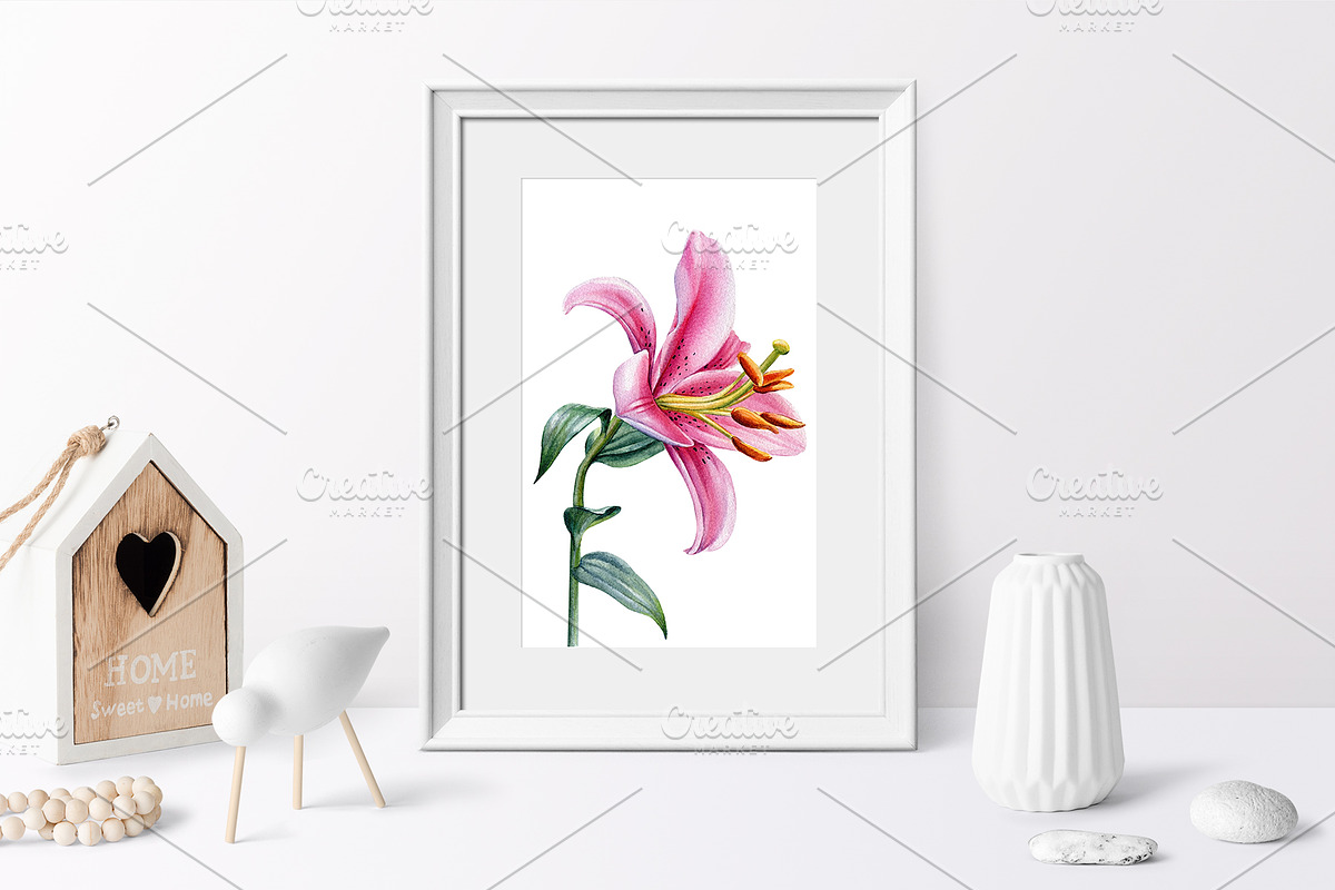 Garden Flowers hand drawn watercolor, a Decorative Illustration by Hanna Hryharenka (Photo 10 of 16)