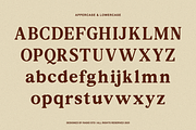 The Redlane Editorial Serif Font, a Serif Font by Rasio Studio (Thumbnail 2 of 10)