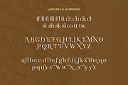 SS Geraldine - Beauty Serif Font, a Serif Font by Typocracy Studio (Thumbnail 10 of 11)