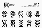 RNA Icon Vector, a Solid Icon by Akatype Studio (Thumbnail 1 of 3)