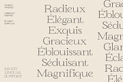 CS Daily – Serif Font, a Serif Font by Craft Supply Co. (Thumbnail 4 of 8)