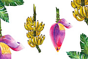 Banana Leaves Watercolor, a Decorative Illustration by Planolla (Thumbnail 4 of 4)