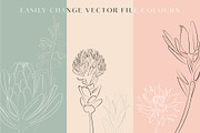 Line Art Floral Graphic Elements, a Decorative Illustration by CL Creative Studio (Thumbnail 5 of 11)