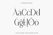 Type Ultimate - serif logo font, a Serif Font by VP Fonts (Thumbnail 14 of 24)