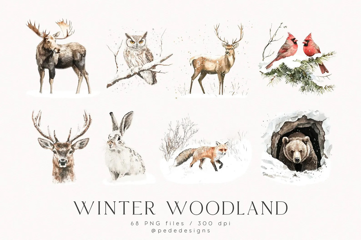 Winter Woodland, an Animal Illustration by PeDe Designs (Photo 3 of 8)