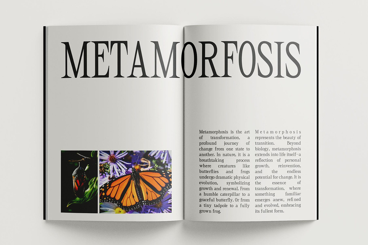 CS Bozhena – Contemporary Font, a Serif Font by Craft Supply Co. (Photo 3 of 8)