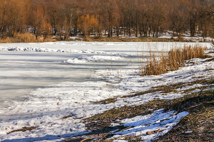 Winter sunny landscape, view of the lake in the forest in Ukrain, a Nature Photo by TanaCh