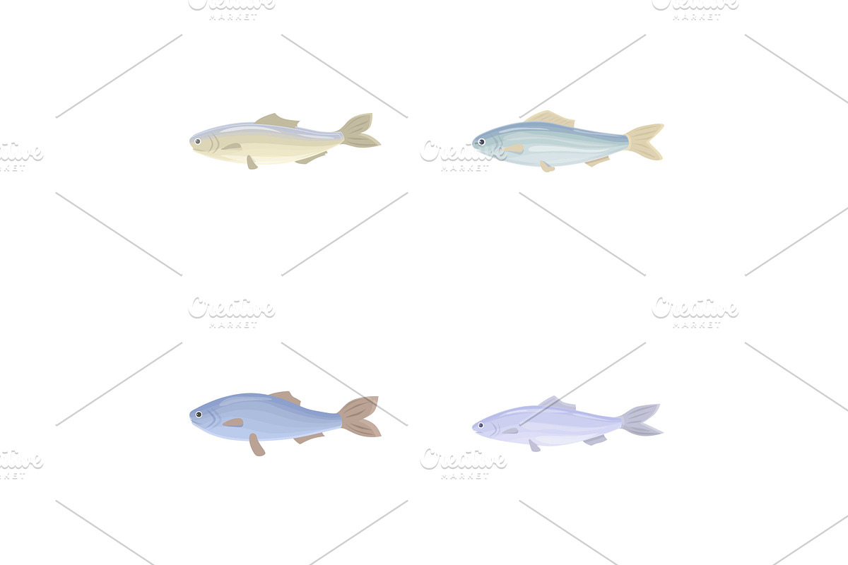 Cod fish icons set cartoon vector, an Animal Illustration by Ylivdesign