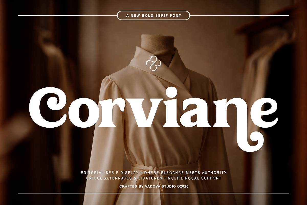 Corviane Bold Serif Font, a Serif Font by Vadovastd (Photo 1 of 8)