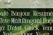 Ankora, a Serif Font by Burntilldead (Thumbnail 12 of 13)