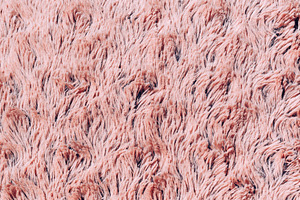 Closeup textile pink abstract background, an Abstract Photo by Dvoevnore photos