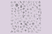 Preserving the bloom 100 flowers, a Decorative Illustration by Visual Animal (Thumbnail 7 of 10)