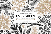Winter Plants Set. Christmas Designs, a Seasonal Illustration by Yevheniia (Thumbnail 1 of 13)