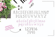 Darling Bloom Font, a Serif Font by Salt & Pepper Designs (Thumbnail 5 of 7)