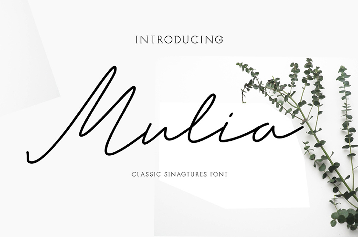 Mulia