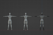 Realistic Female Base Mesh in T-Pose, a Characters & Person 3D Model by Casa Mandarina (Thumbnail 4 of 9)