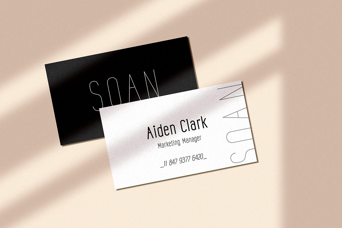 Senar, a Sans Serif Font by Larin Type Co. (Photo 3 of 10)