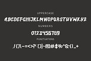 Sosola font, a Serif Font by VectorCraft (Thumbnail 2 of 4)