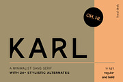 Karl – Cool Sans w Unique Alternates, a Sans Serif Font by Local Desk Designstudio (Thumbnail 1 of 28)