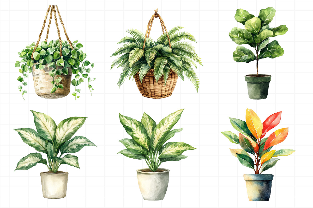 Watercolor Home Plants Clipart, an Illustration by Daily.Designs (Photo 8 of 8)