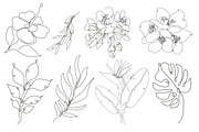 71 Flowers Continuous Line Set, a Decorative Illustration by Sunset&Sea Design (Thumbnail 6 of 8)