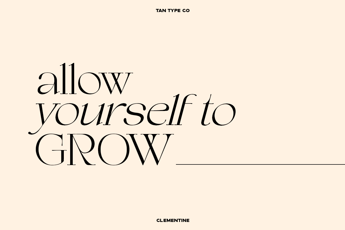 TAN - CLEMENTINE, a Serif Font by TanType (Photo 2 of 20)