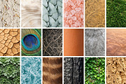 100 Organic Nature Texture, a Background Photo by Selenique Studio (Thumbnail 10 of 10)
